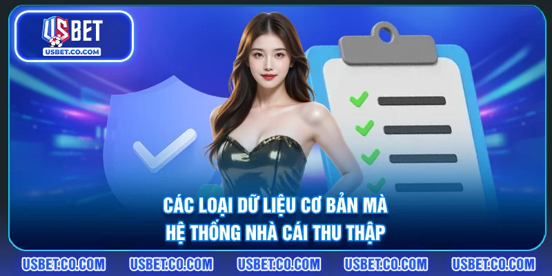 Các loại dữ liệu cơ bản mà hệ thống nhà cái thu thập